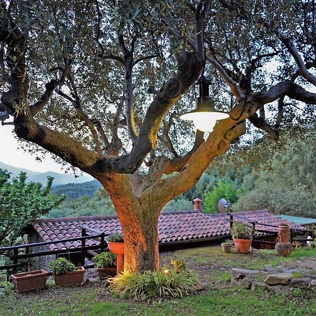 Vila Terrazza Degli Angeli Ascea Exteriér fotografie
