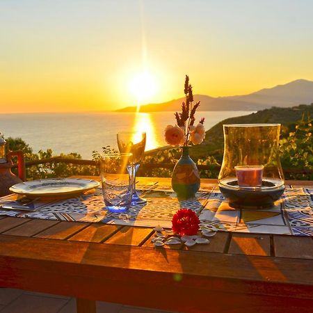 Vila Terrazza Degli Angeli Ascea Exteriér fotografie
