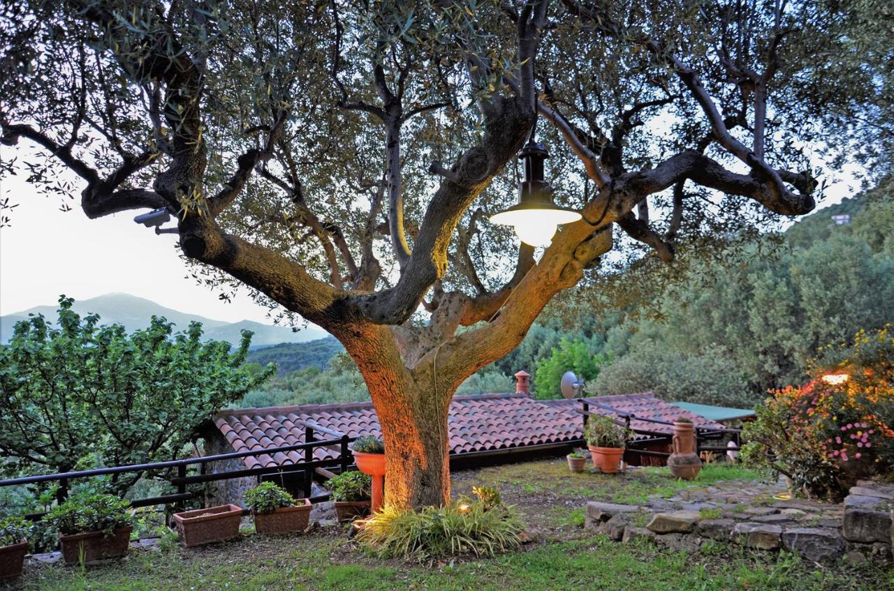 Vila Terrazza Degli Angeli Ascea Exteriér fotografie